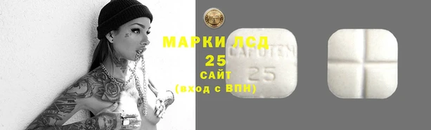 прущие крисы Абаза