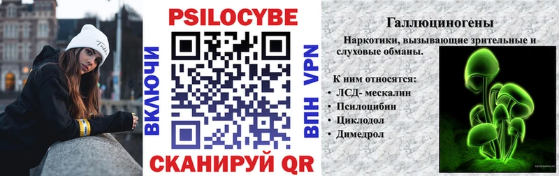 Псилоцибиновые грибы Psilocybe  Ак-Довурак 